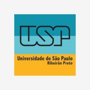 Empresa 6
